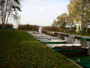 groer Hafen mit Khnen